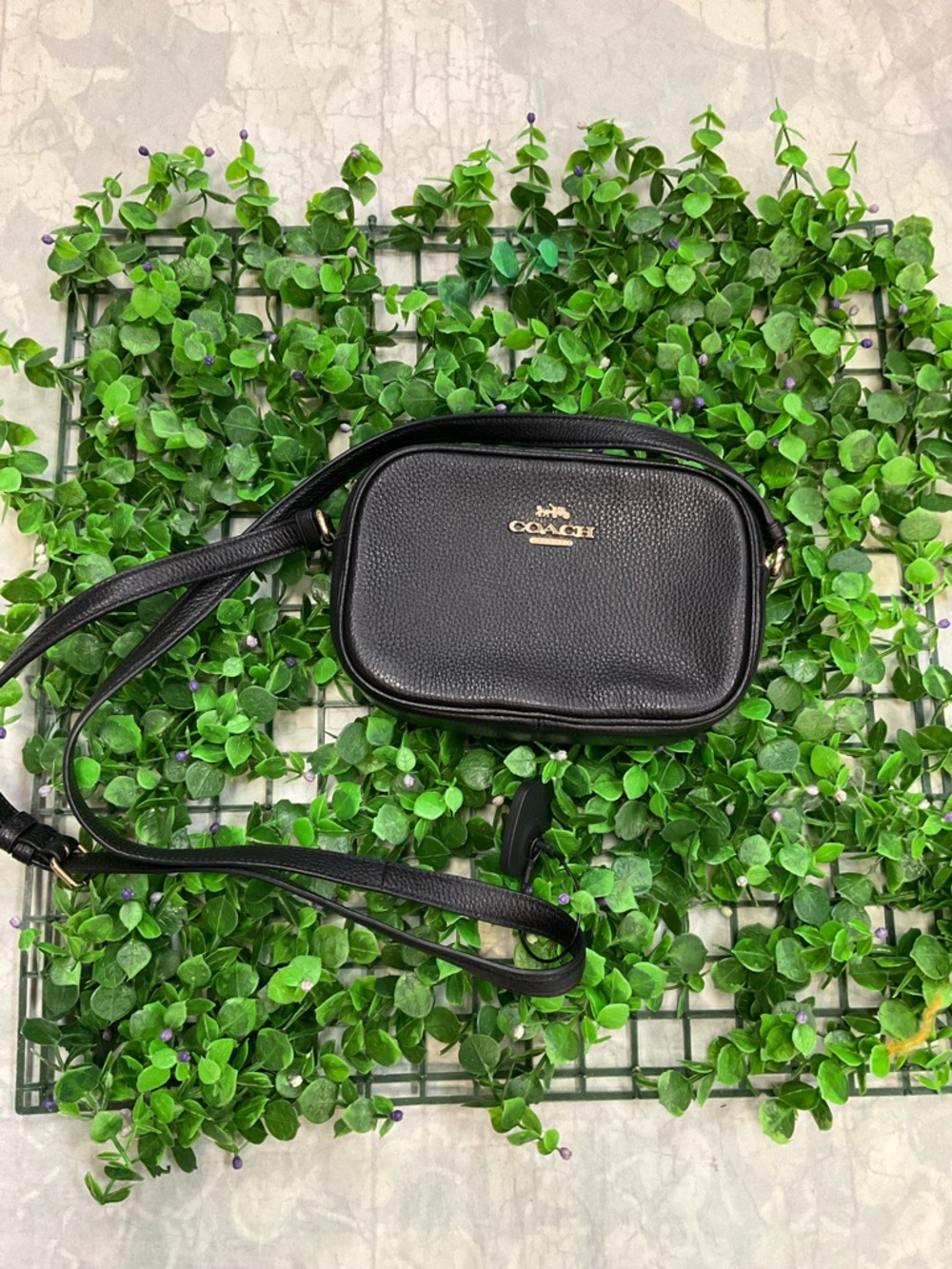 Coach Black Pebbled Leather Crossbody Camera Bag with Gold Logo